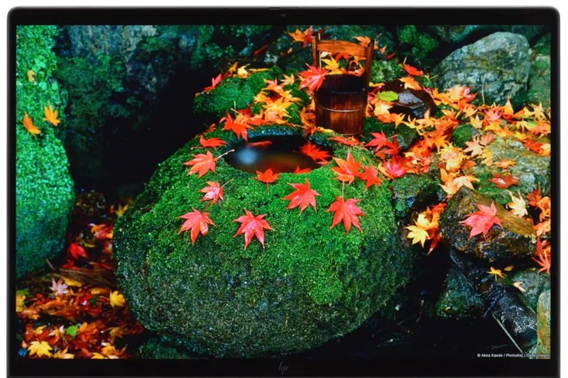 描画イメージ（紅葉）