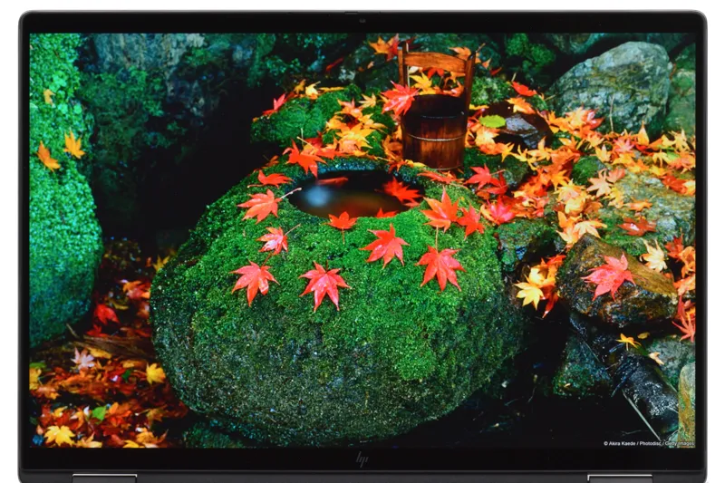 描画イメージ（紅葉）