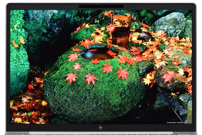 映像（紅葉）