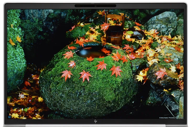 映像（紅葉）