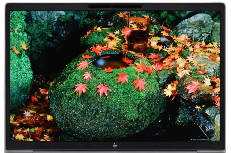 映像（紅葉）