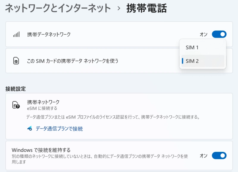 eSIM接続設定