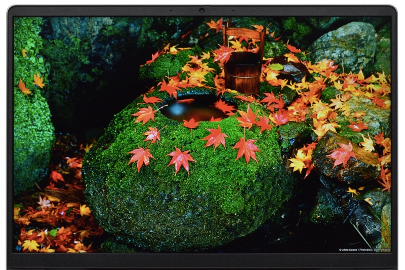 映像(紅葉)