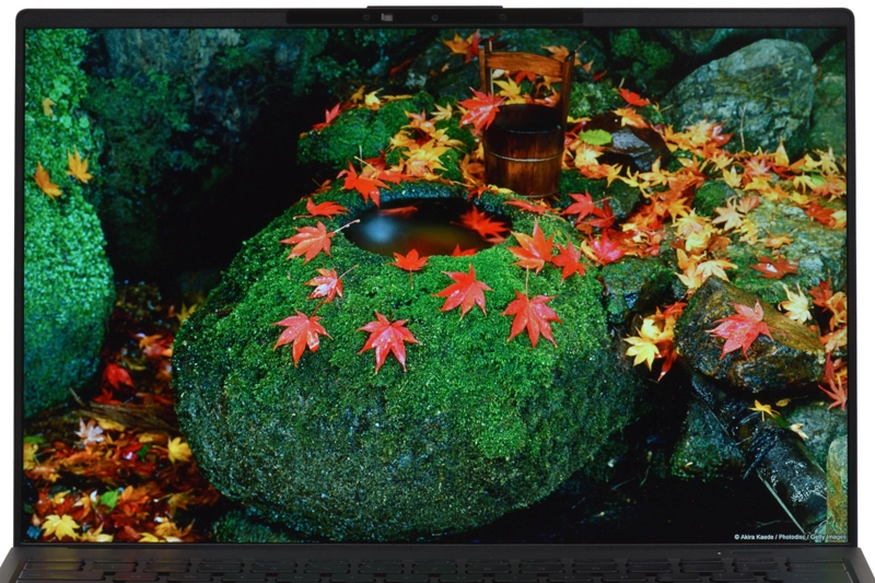 映像(紅葉)