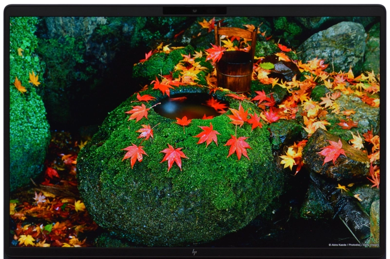 映像(紅葉)