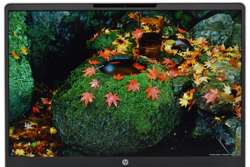 映像(紅葉)
