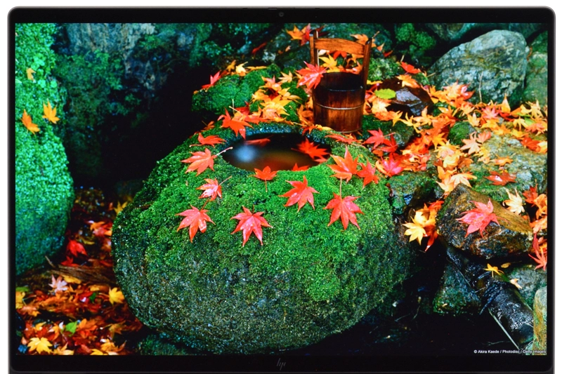 映像(紅葉)