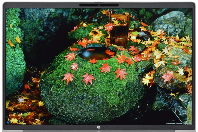 映像(紅葉)